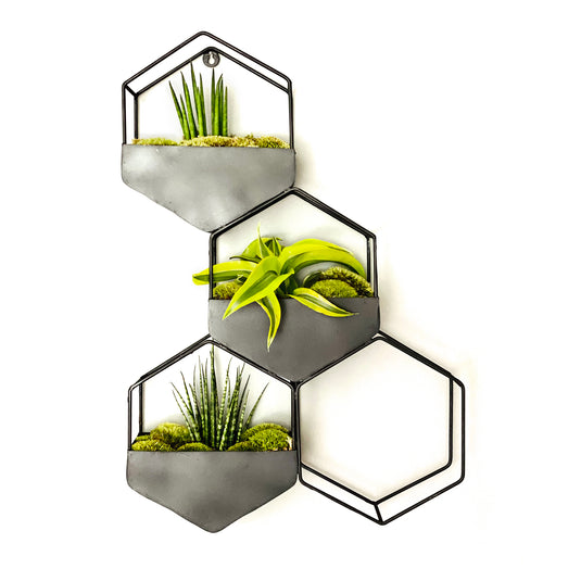 The Urban Botanist - Terrariums, Ecosystems and Plant Gifts