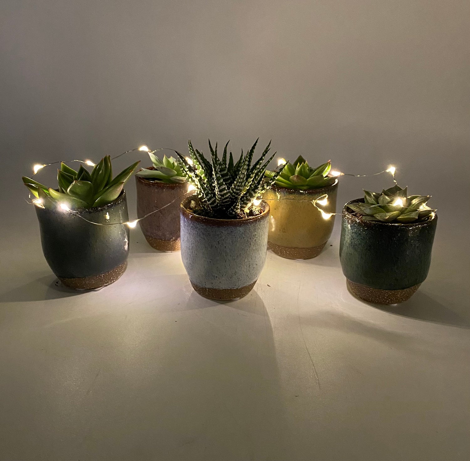 Earthenware Succulent Gift Set 5 Plants
